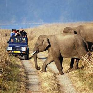 jim corbett national park 1