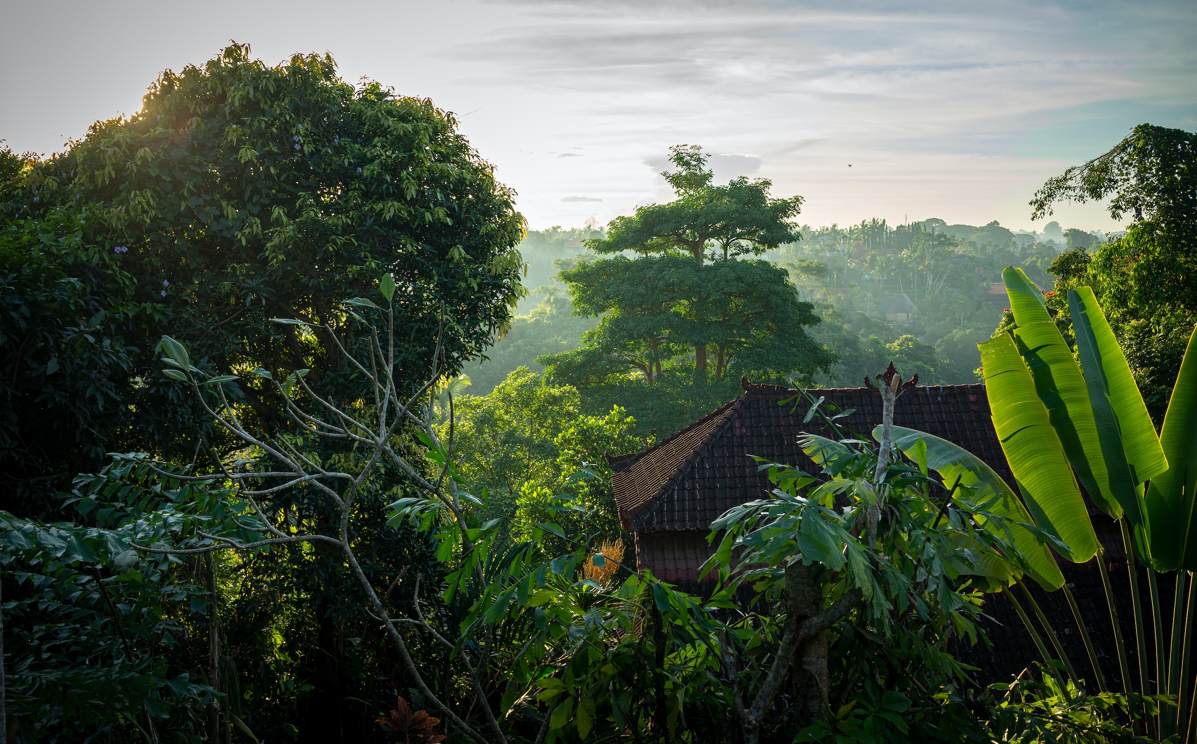 DAY 2 : Ubud - Kintamani Tour