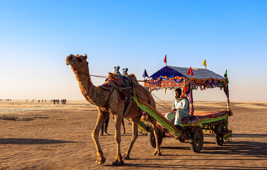 Rann Utsav Tent City, White Rann