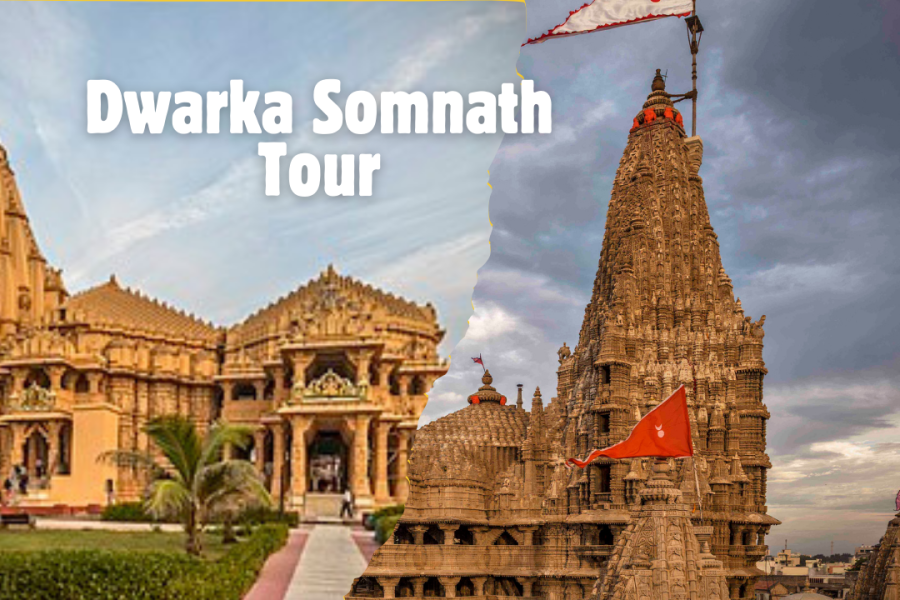 Dwarka Somnath Ex Ahmedabad