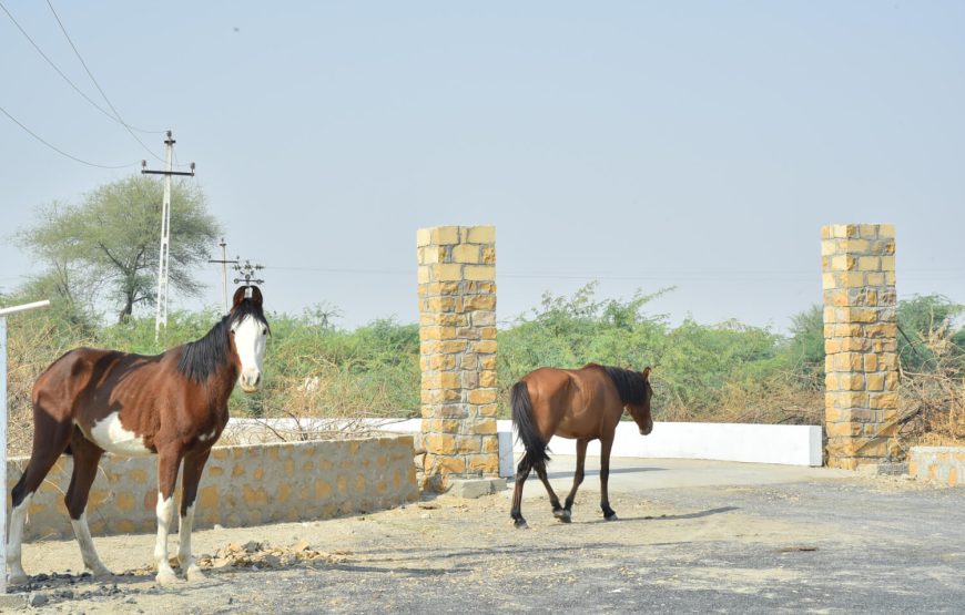 Rann Village Resort