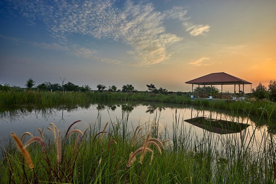 Blackbuck Safari Lodge